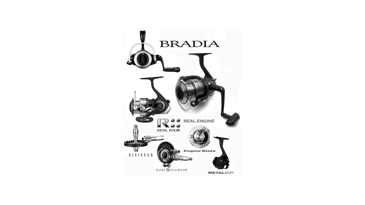 Пружинистая шайба ведомой шестерни daiwa bradia 2500 деталь на схеме № 51