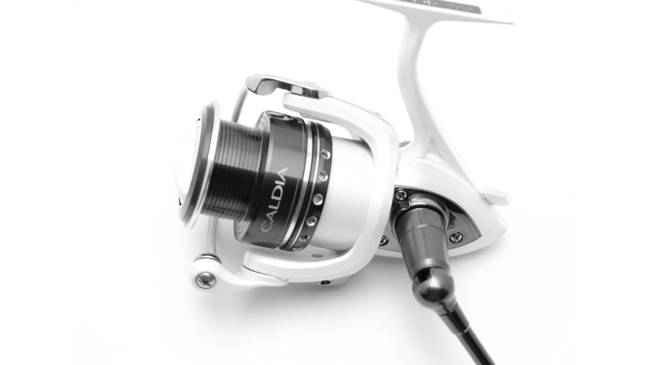 Спиннинговая катушка daiwa caldia 09 2500 jdm(внутренний японский рынок) Спиннинговая катушка daiwa caldia 09 2500 jdm(внутренний японский рынок)