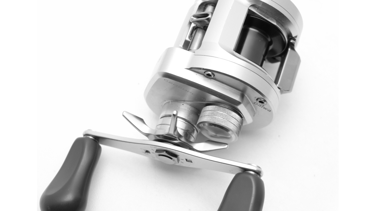 Катушка мультипликаторная daiwa ryoga bj c2020pe-hl Катушка мультипликаторная daiwa ryoga bj c2020pe-hl