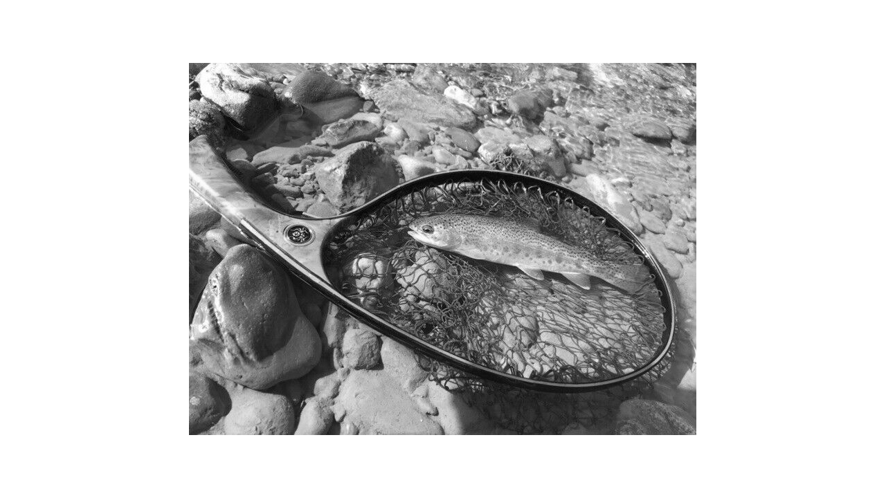 Подсак landing net / handmade / natural wood / immersion stream