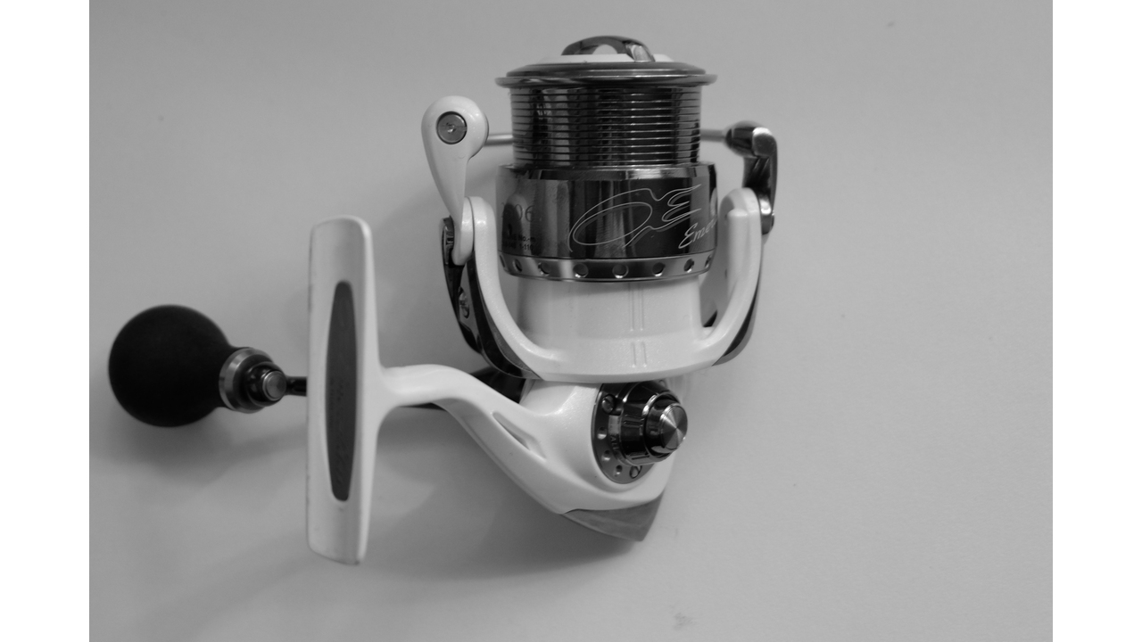 Daiwa emeraldas 2506 09